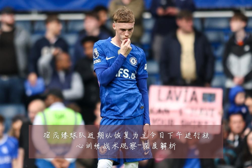 宿茂臻球队近期以恢复为主今日下午进行核心训练战术观察-深度解析