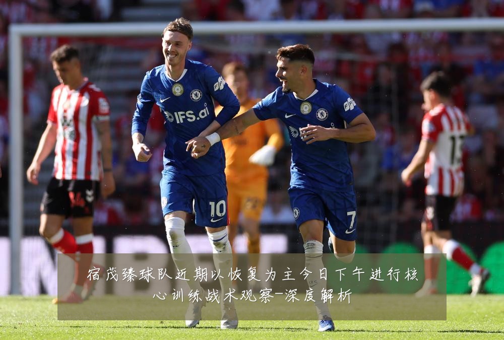 宿茂臻球队近期以恢复为主今日下午进行核心训练战术观察-深度解析